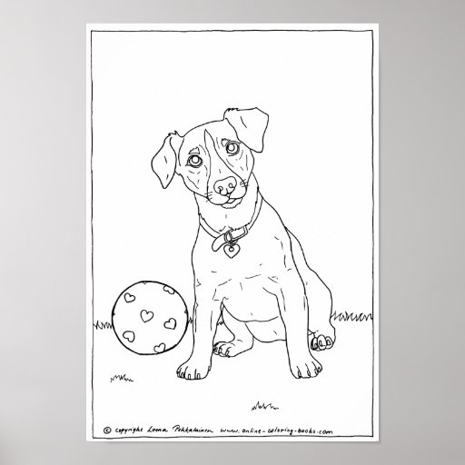 Jack Russell Terrier Canvas Posters
