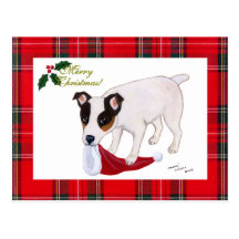 Jack Russell Terrier Christmas Tartan Postcards