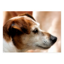 JACK RUSSELL TERRIER DOG BUSINESS CARD