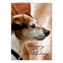 JACK RUSSELL TERRIER DOG CARD