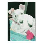 Jack Russell Terrier Greeting Card