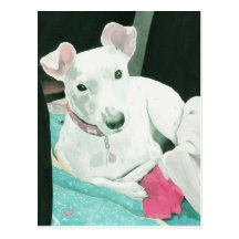 Jack Russell Terrier Postcards