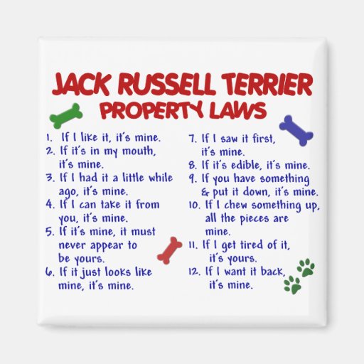JACK RUSSELL TERRIER Property Laws 2 Refrigerator Magnets
