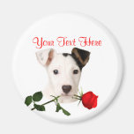 Jack Russell Terrier Red Rose Valentine Design magnets