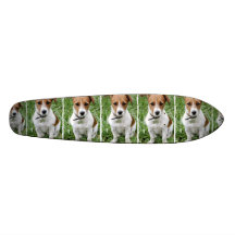Jack Russell Terrier Skateboard