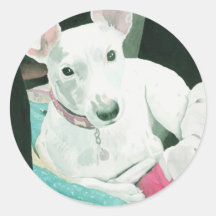 Jack Russell Terrier Stickers
