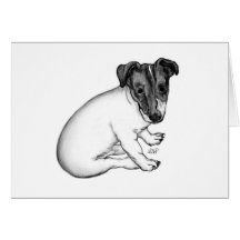 Jack Russell Welpe 10 Wochen alt Grußkarten
