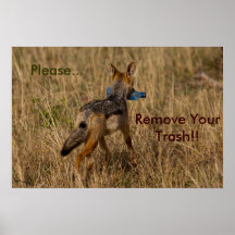 Jackal Trash Collector Print