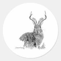 Jackalope Adhésifs