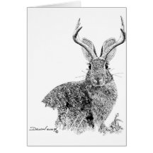 Jackalope Cards