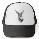 Jackass hats