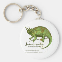 Jackson's chameleon - leaf キーチェーン