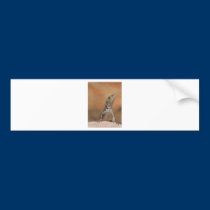 Jacky Dragon bumper stickers