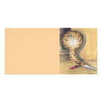 Jacobin Almond
