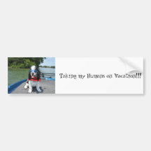jacques pictures 039, Taking my Humans on Vacat... Bumper Stickers