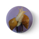 Jadatzi Snail Love buttons