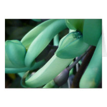 Jade Dream Greeting Card