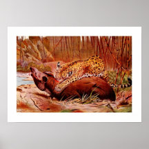 Jaguar and Tapir Poster