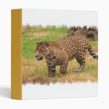 Jaguar Binder