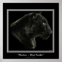 JAGUAR, BLACK PANTHER Big Cat Art Print