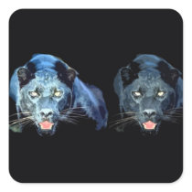 Jaguar - Black Panther Square Stickers