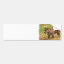 Jaguar Bumper Sticker
