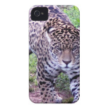 JAGUAR Case-Mate iPhone 4 CASES