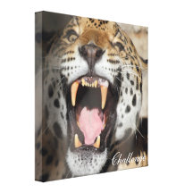 Jaguar Challenge Stretched Canvas Prints