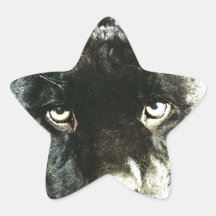 Jaguar Eyes Star Sticker