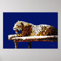 Jaguar God Of The Night Print