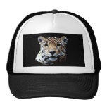 Jaguar Hats