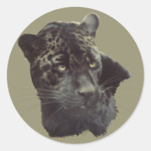 Jaguar noir autocollant