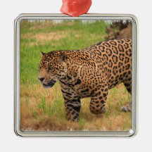 Jaguar  Ornament