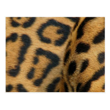 Jaguar Pattern Postcard