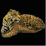 Jaguar Photo Sculpture