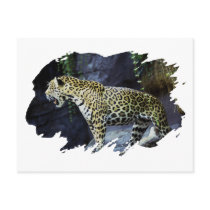 Jaguar Post Cards