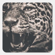 Jaguar Square Sticker