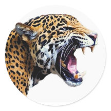 Jaguar Stickers