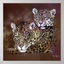 Jaguars Print