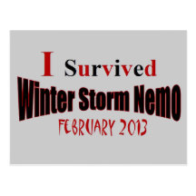 J'ai survécu à la carte postale de la tempête NEMO