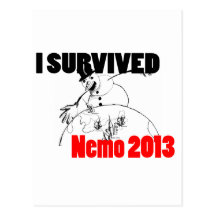 J'ai survécu à Nemo 2013 Carte Postale