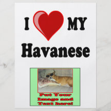 J'aime (coeur) mon chien de Havanese Prospectus Personnalisés