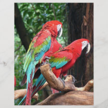 J'aime de beaux oiseaux !  perroquets rouges et bl prospectus