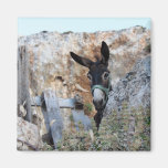 J'aime des ânes ! magnets