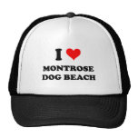 J'aime la plage l'Illinois de chien de Montrose Casquette De Camionneur