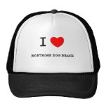 J'aime la plage l'Illinois de chien de Montrose Casquette