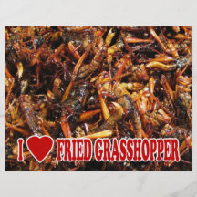 J'aime la sauterelle frite prospectus en couleur