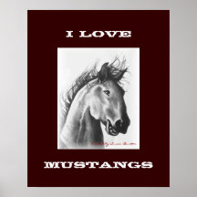 J'aime l'affiche de mustangs