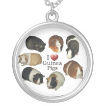 J'aime le collier de cobaye