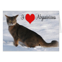 J'aime les chats abyssiniens carte de vœux